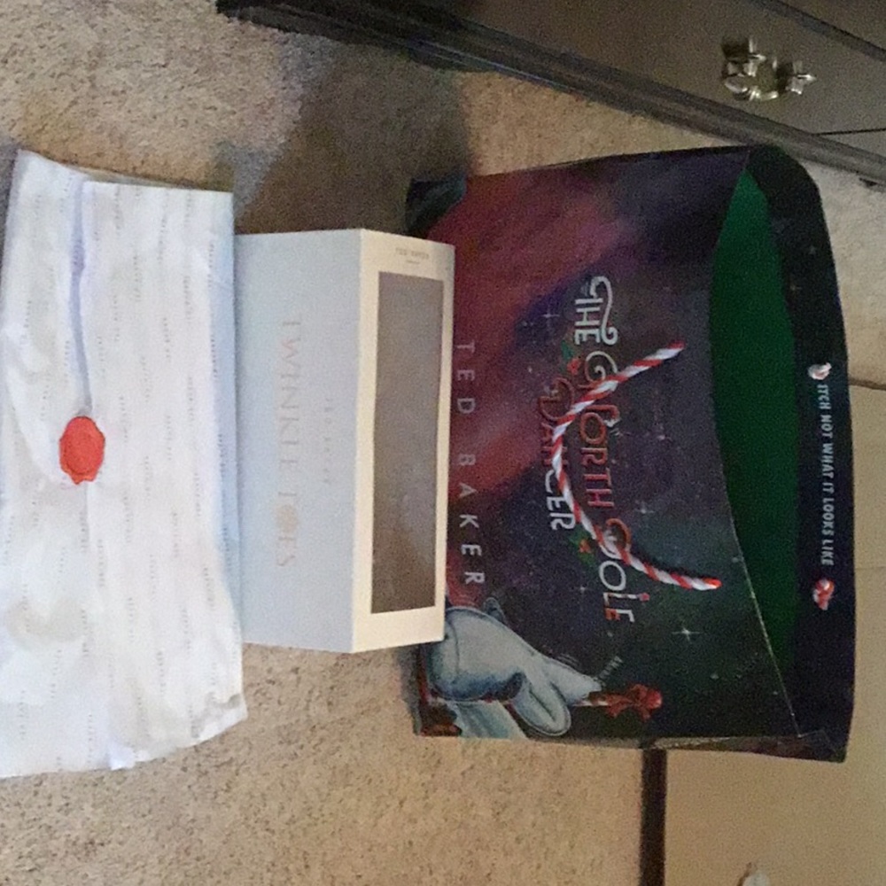 Ted Baker shoe box and shopping bag
